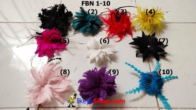 large2 FBN 1b